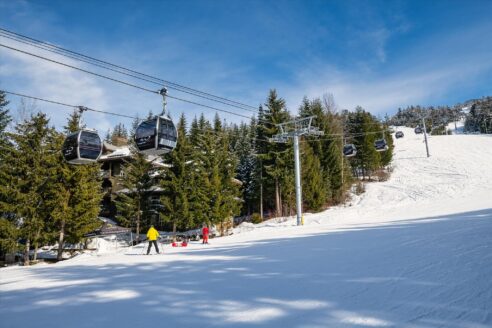 18. Blackcomb Springs 20