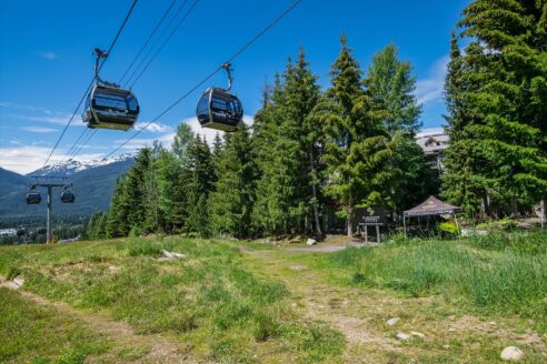 19. Blackcomb Springs 24