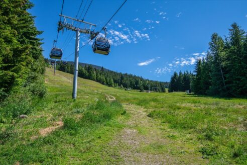 20. Blackcomb Springs 15
