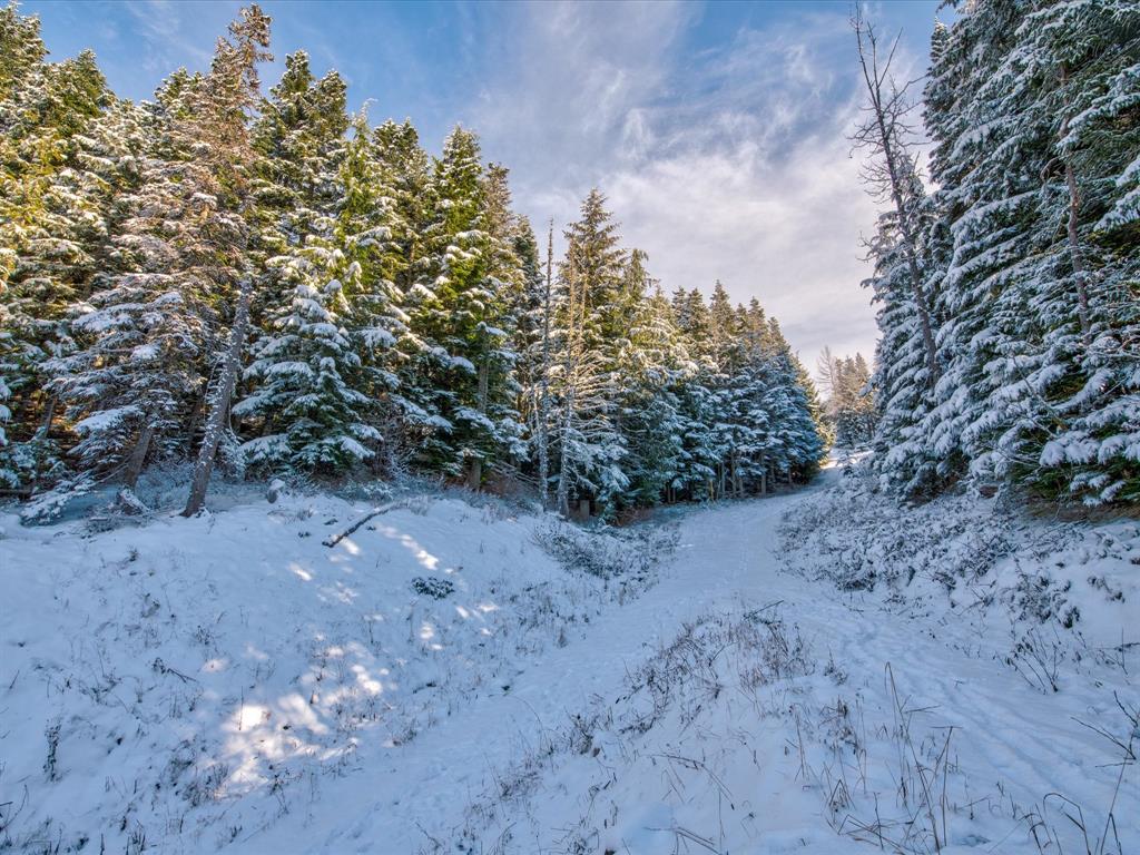 2938 Heritage Peaks Trail
