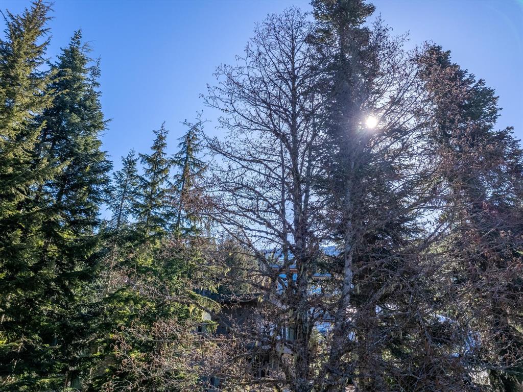2938 Heritage Peaks Trail