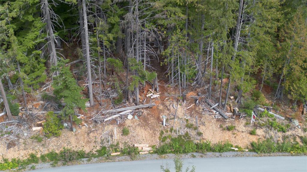 8570 Ashleigh Mclvor Drive