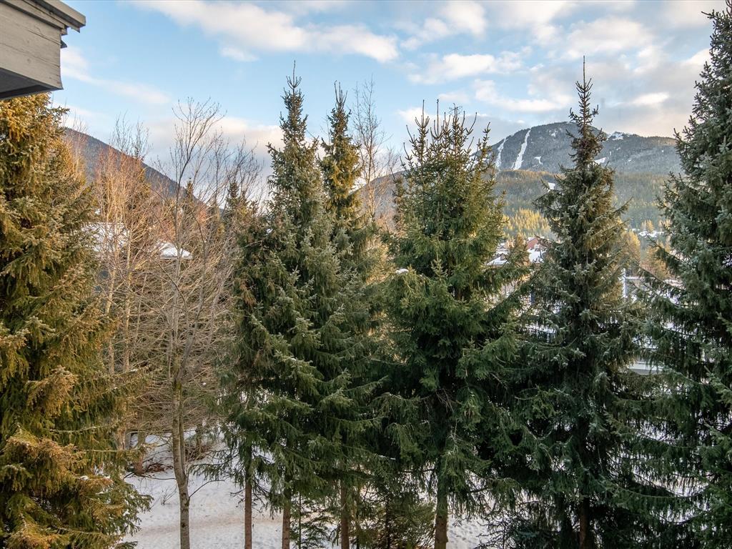 #2315 – 4308 Main Street