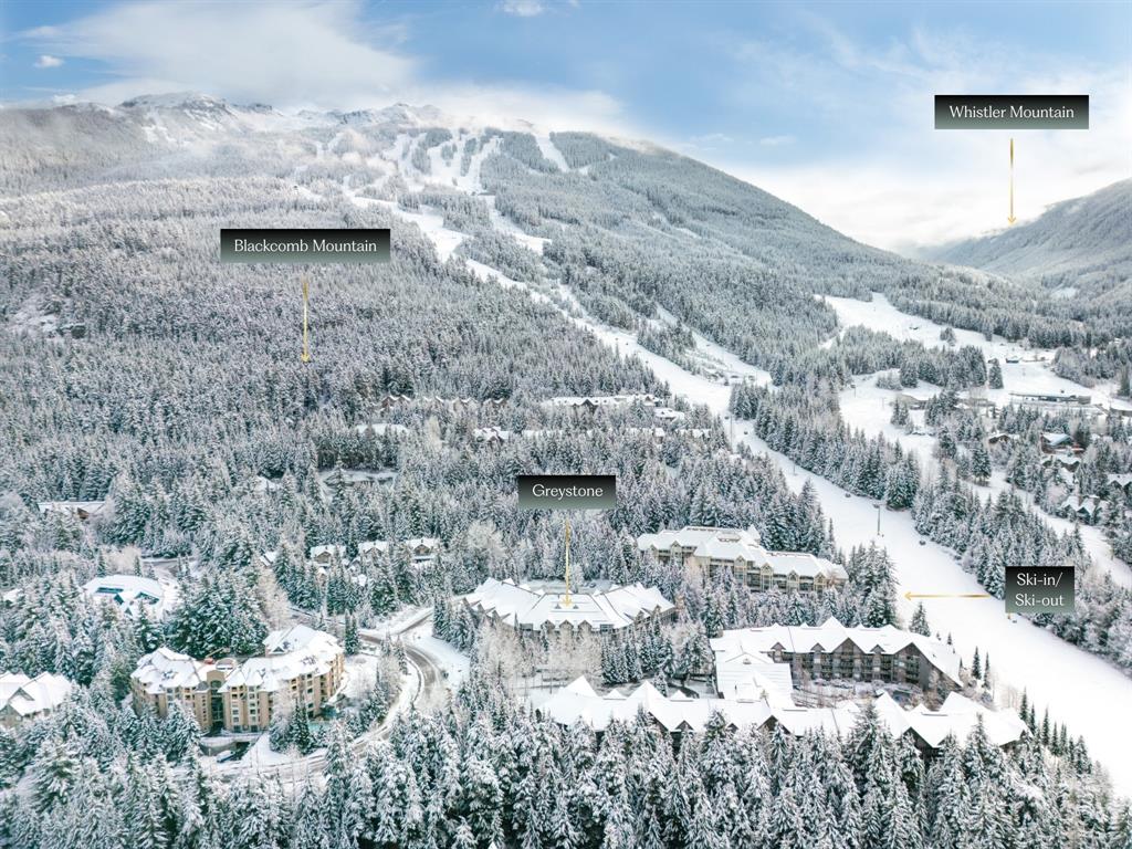 #229 – 4905 Spearhead Drive