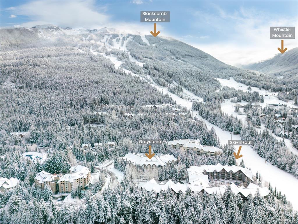 #229 – 4905 Spearhead Drive