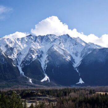 7501 Pebble Creek Drive