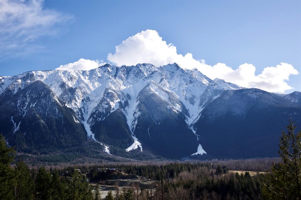 7501 Pebble Creek Drive