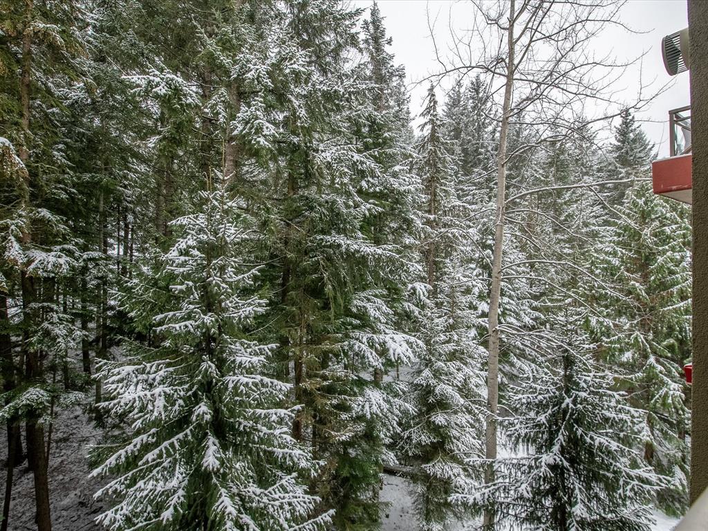 #769 – 4090 Whistler Way