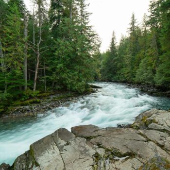 #Lot 10 – 1726 River Run Place