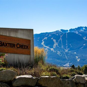 8558 Ashleigh McIvor Drive