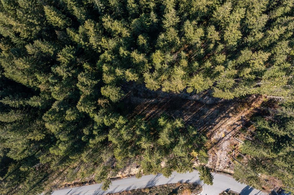 8622 Maelle Ricker Lane