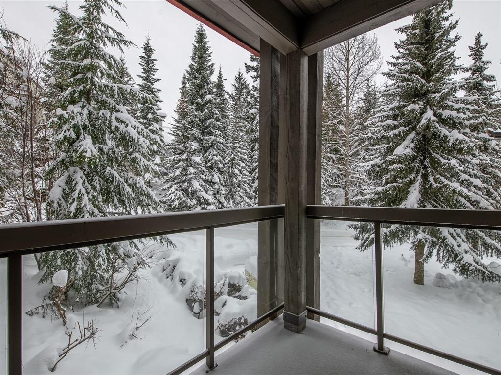 #209 – 3317 Ptarmigan Place