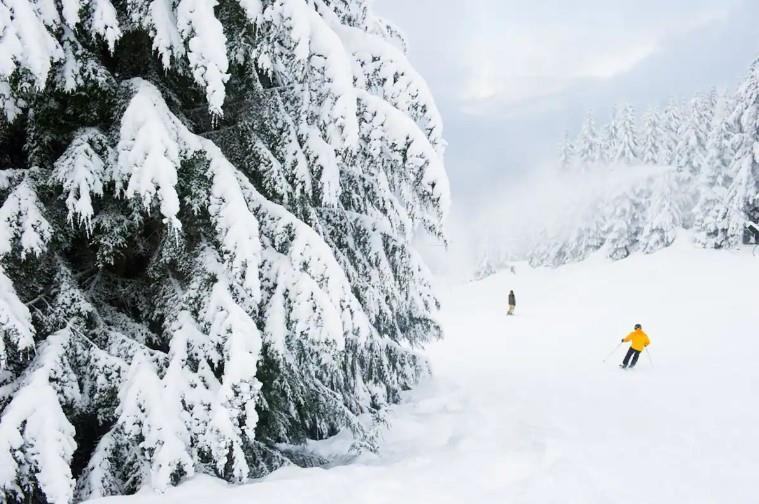 #34/34A – 4388 Northlands Boulevard