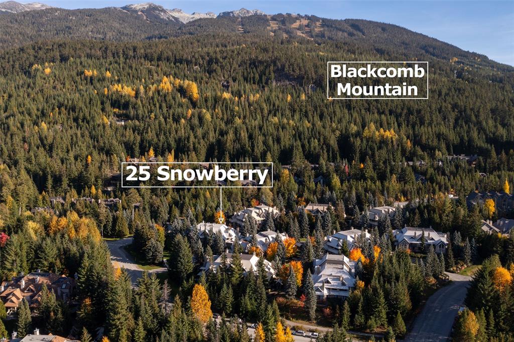 #25 – 4637 Blackcomb