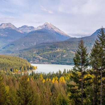 8365 Mountain View Drive