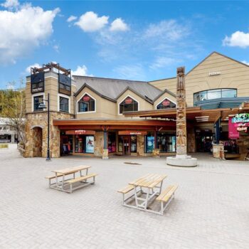 #733/735 – 4050 Whistler Way