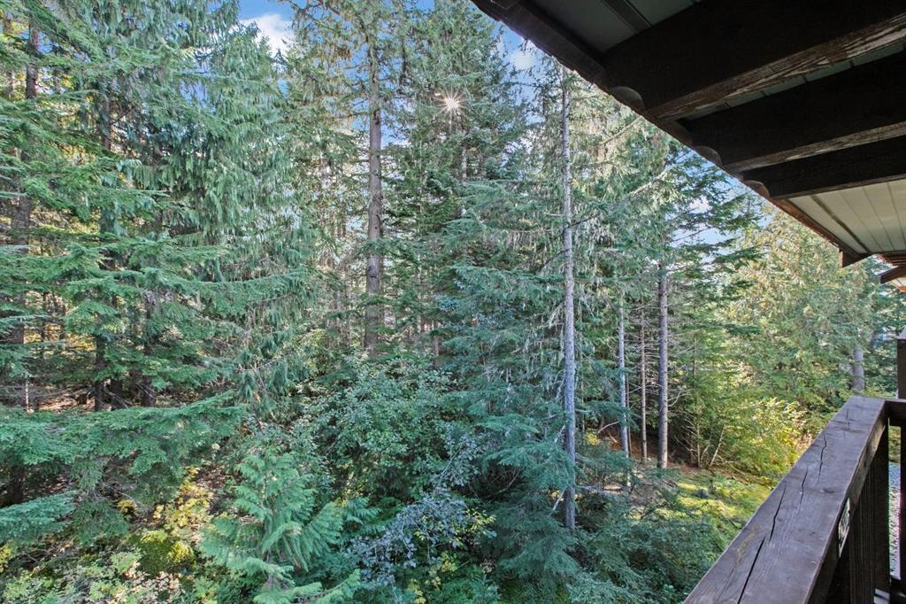 #405 G4 – 4653 Blackcomb Way