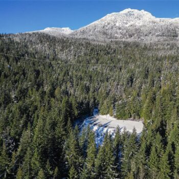 5408 Stonebridge Drive