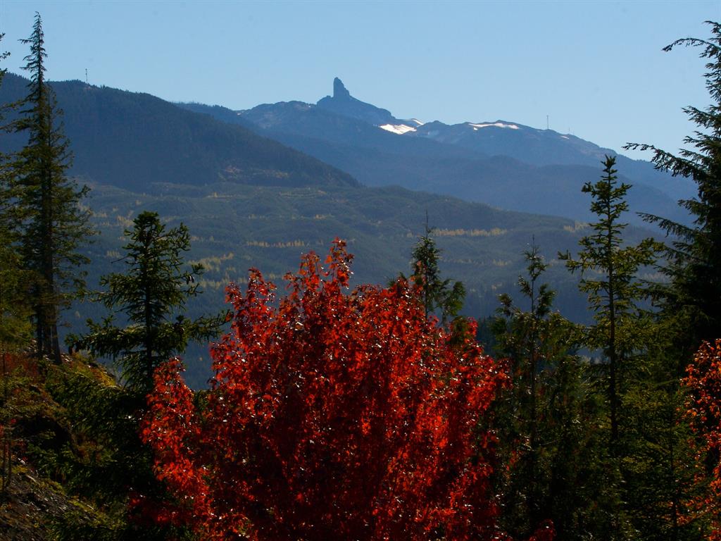 5408 Stonebridge Drive