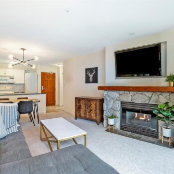 #336 – 4800 Spearhead Drive