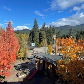 #302 – 4338 Main Street