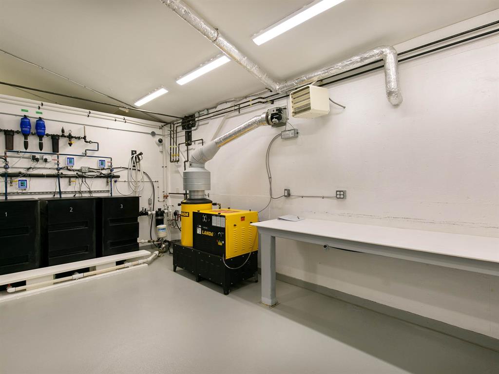 8891 Pemberton Meadows Road