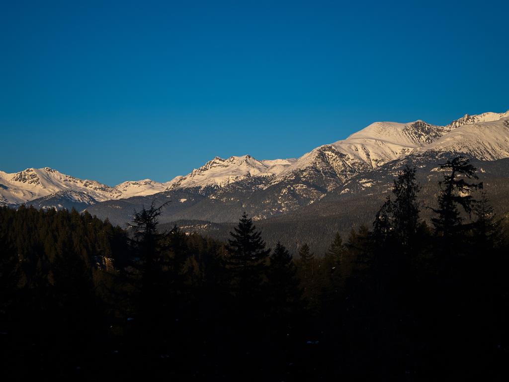 1625 Southlands Lane