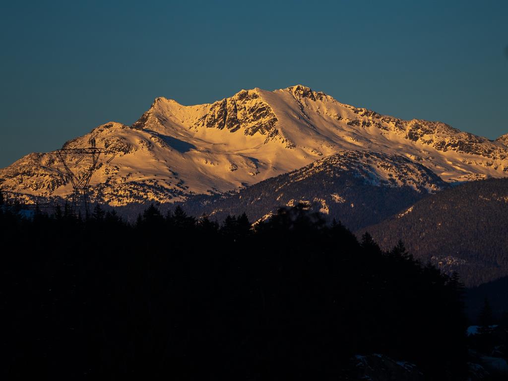 1625 Southlands Lane