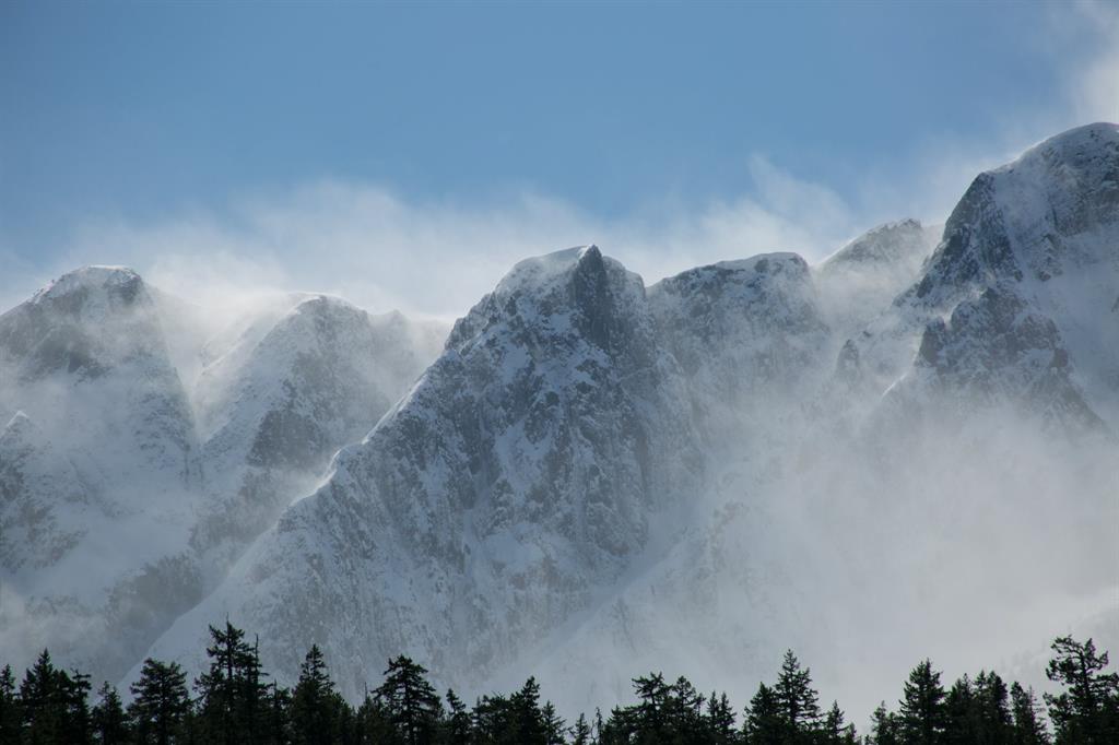 #12 – 1442 Vine Road