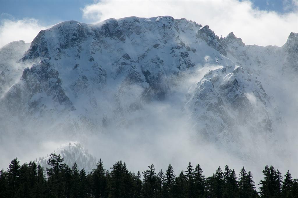 #12 – 1442 Vine Road