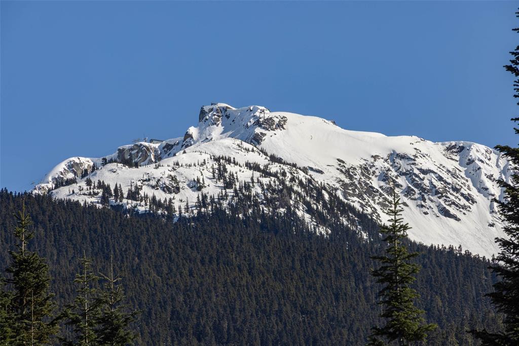 2924 Big Timber Court