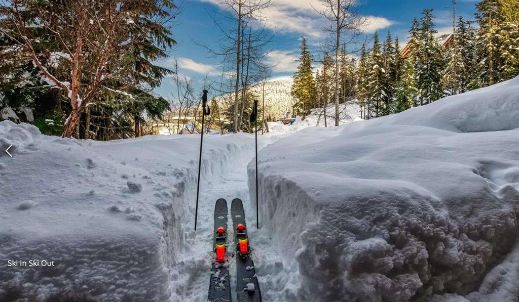 2924 Big Timber Court