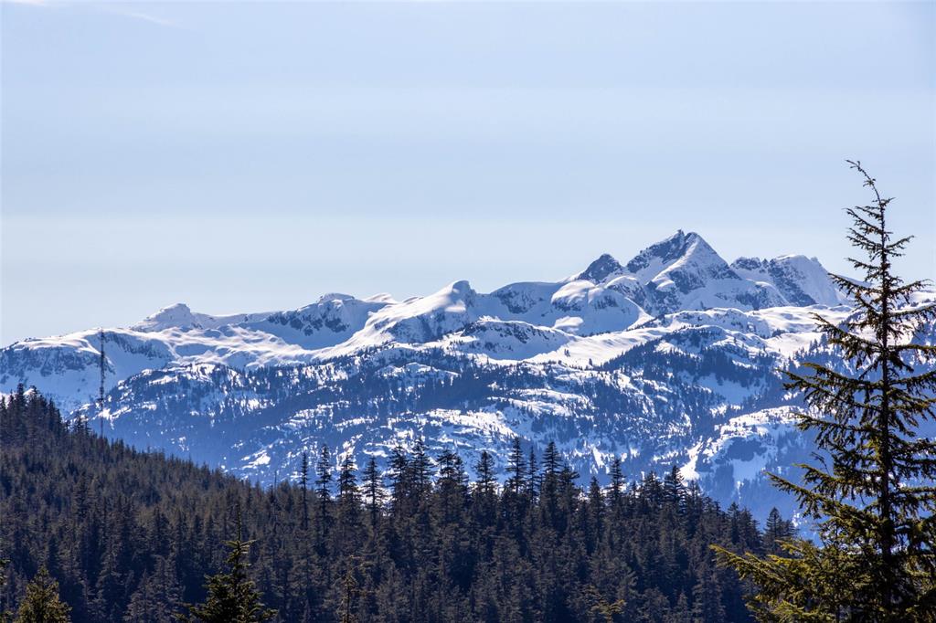 2924 Big Timber Court