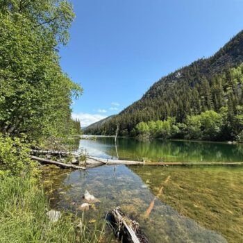 #DL 2401 –  Sucker Lake Road