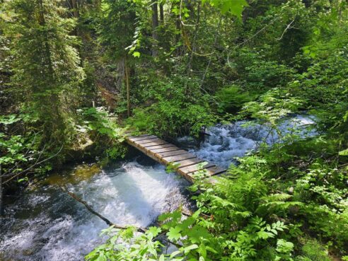 Processed with VSCO with l1 preset