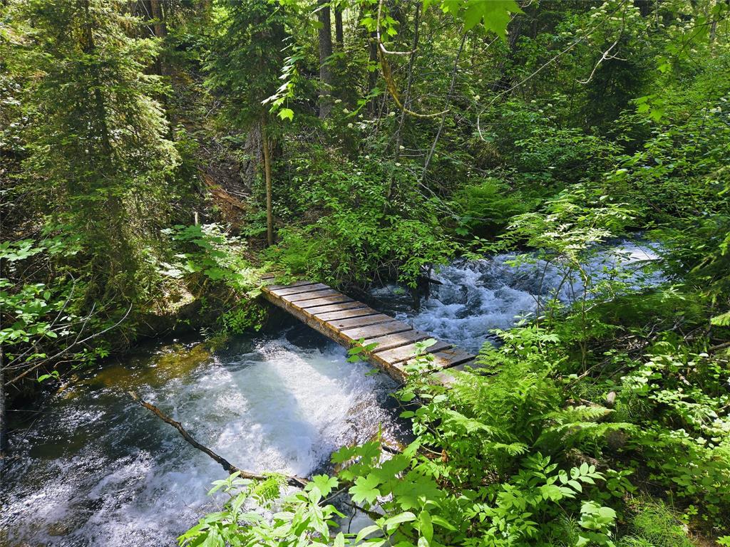 #DL 2401 – Sucker Lake Road