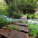 Processed with VSCO with au5 preset