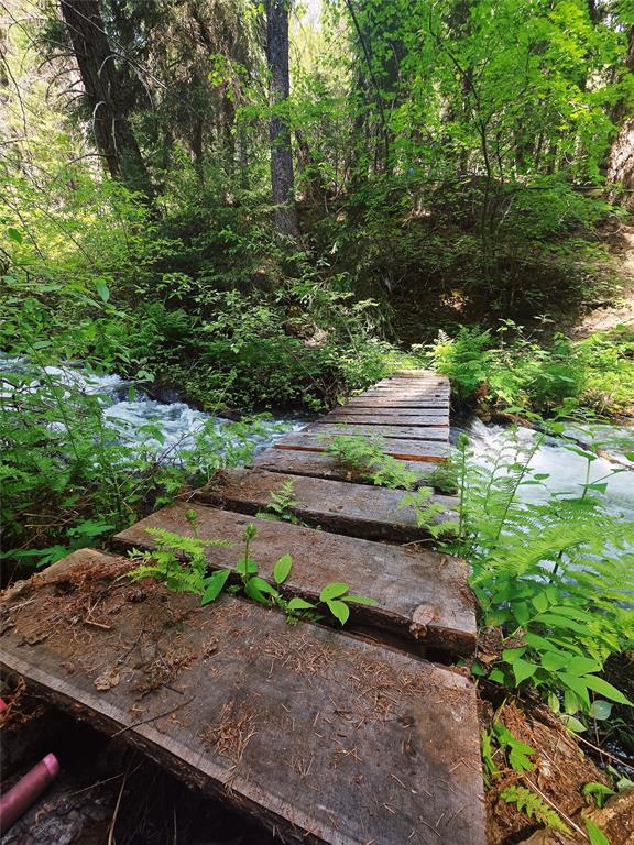 #DL 2401 – Sucker Lake Road