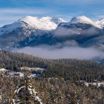 8377 Mountain View Drive