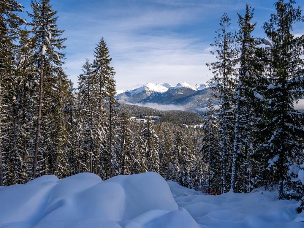 8377 Mountain View Drive