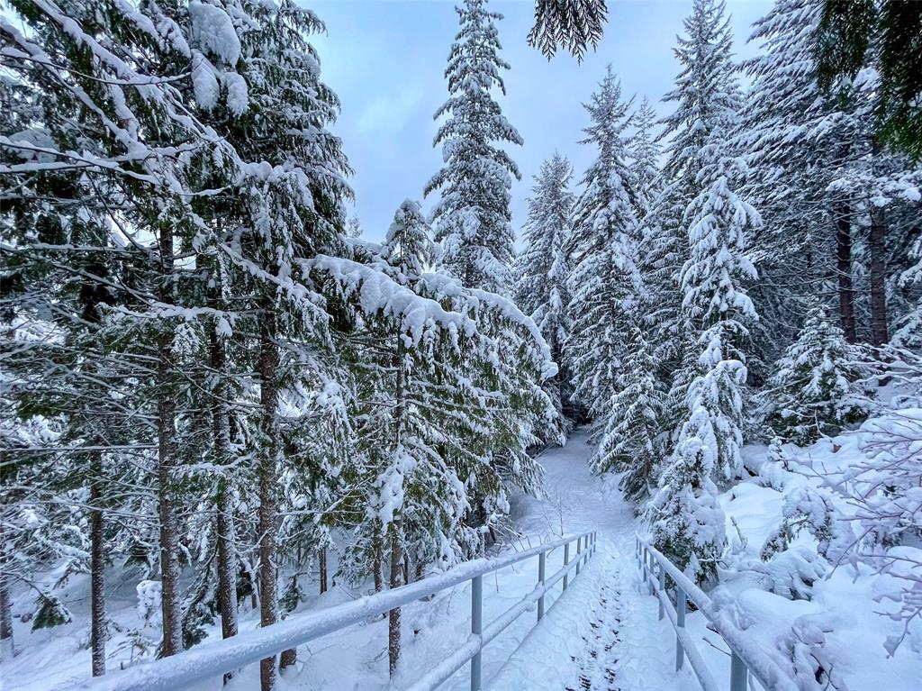 #14 – 2240 Gondola Way