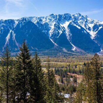 8203 Merlot Peak Drive