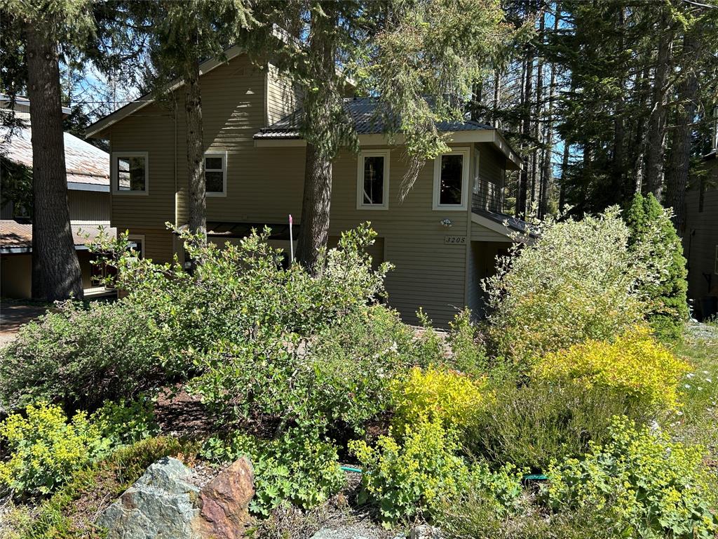 3205 Arbutus Drive