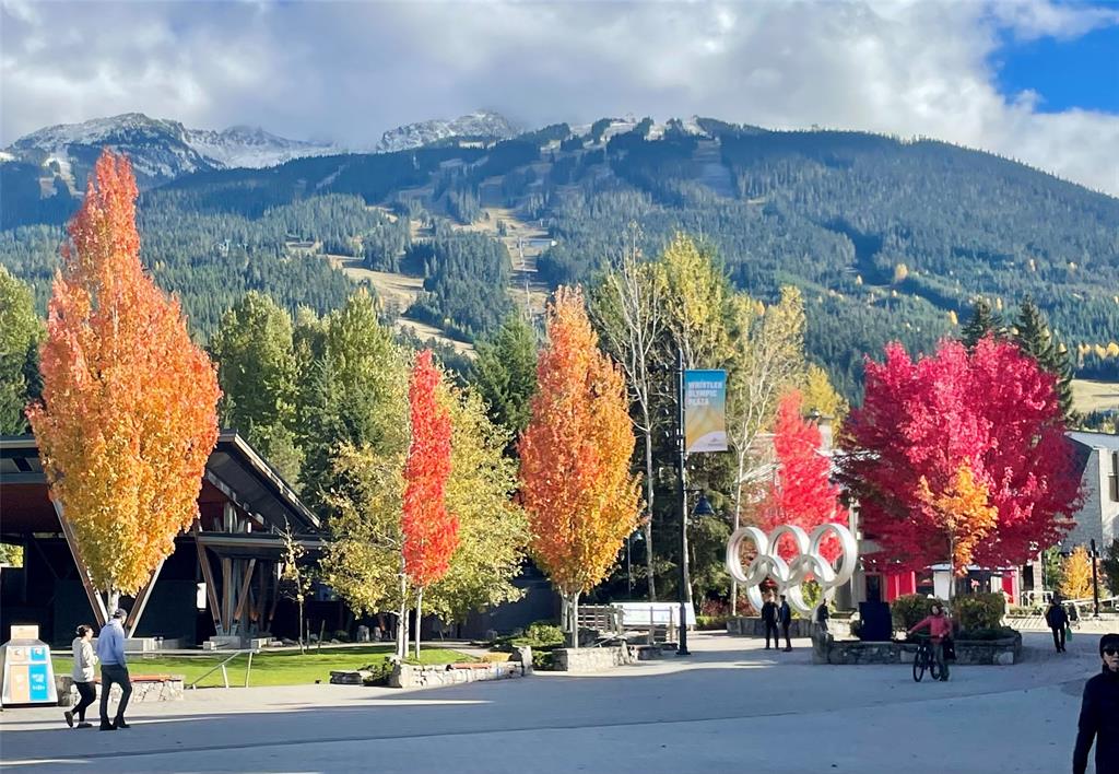 #309 – 4338 Main Street