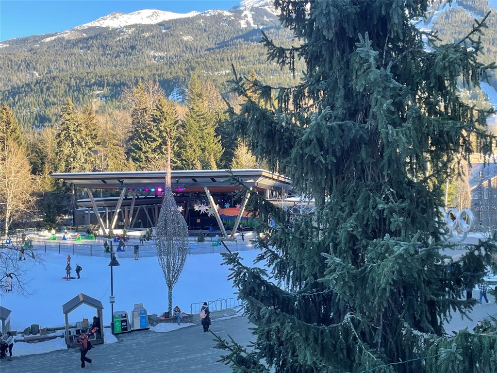 #309 – 4338 Main Street