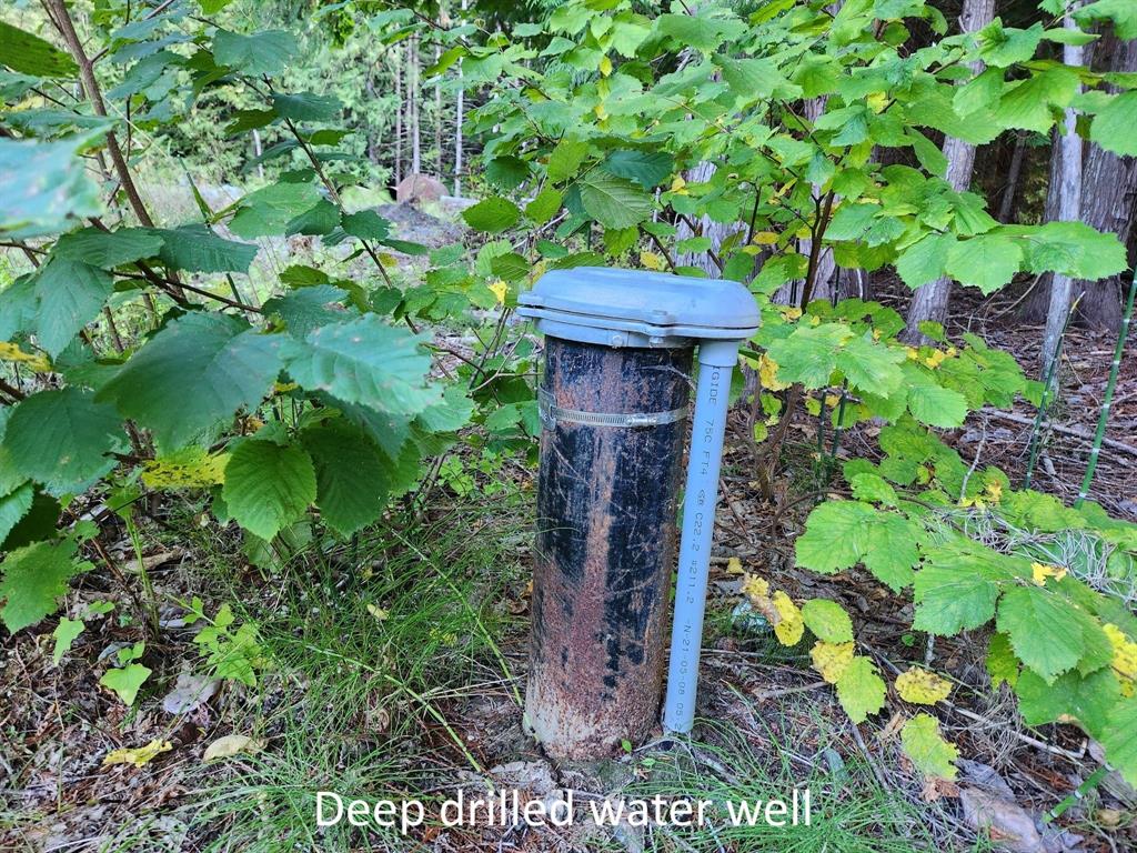 9304 Upper Lillooet River FSR