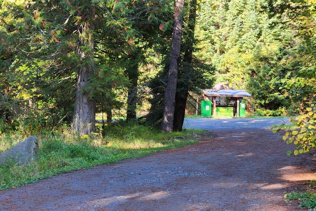 9304 Upper Lillooet River FSR