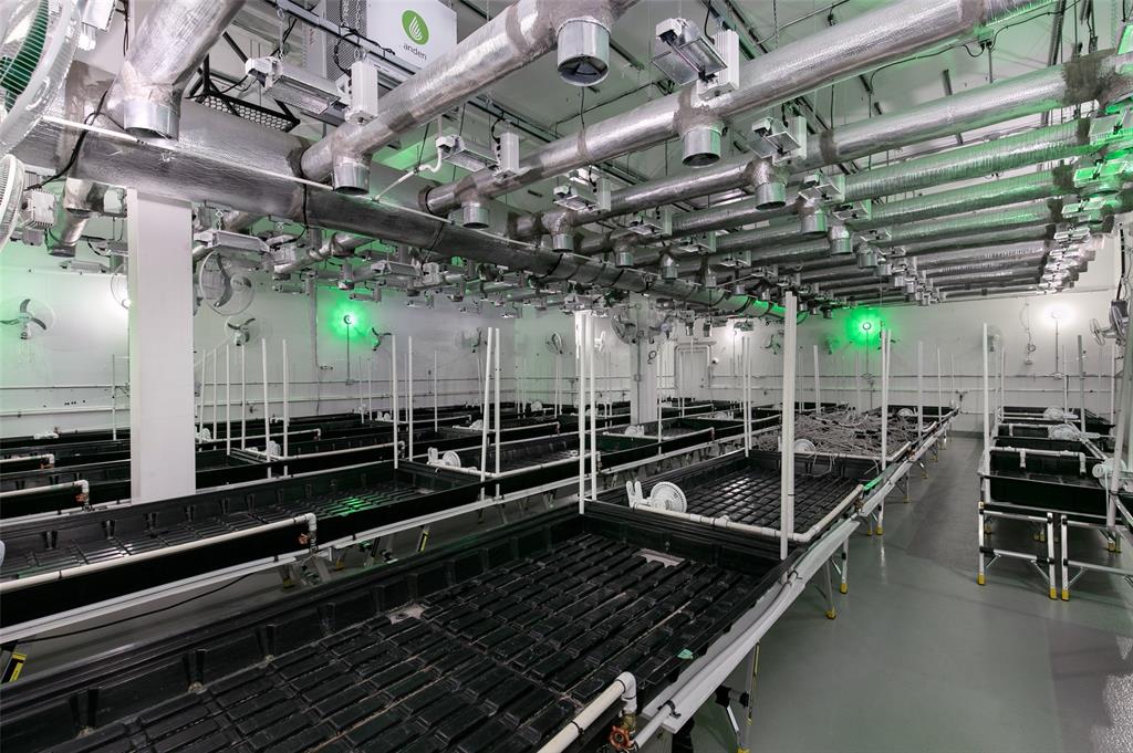 8891 Pemberton Meadows Road