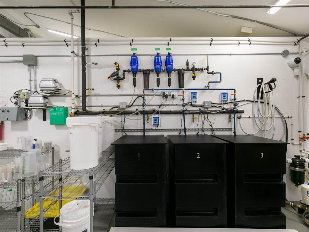 8891 Pemberton Meadows Road