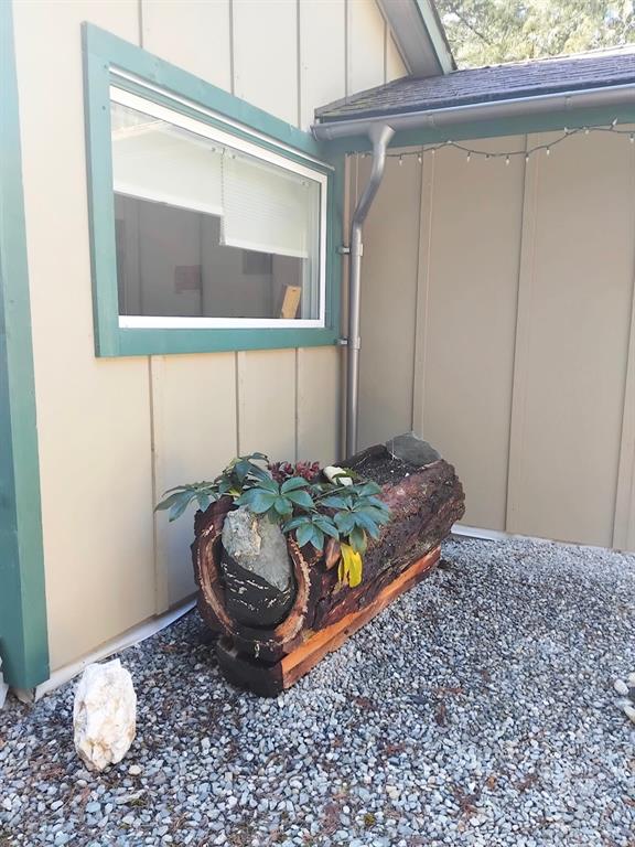 10484 In-Shuck-Ch Forest Service Road